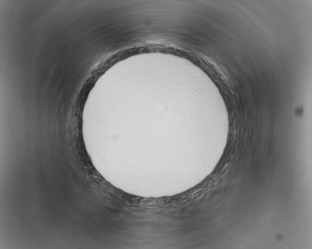 X0000116380776201001131807
