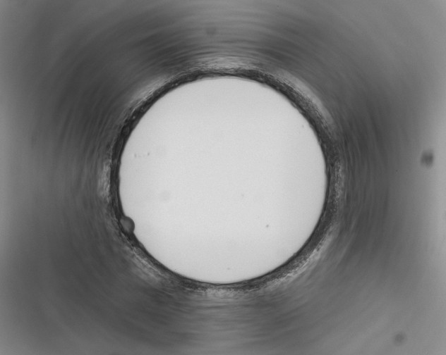 X0000116380777201001131807