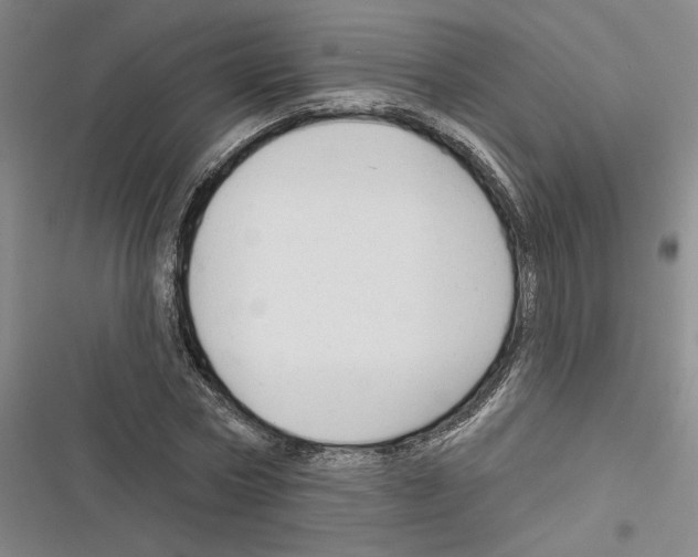 X0000116380778201001131807