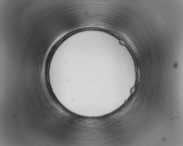 X0000116380780201001131807