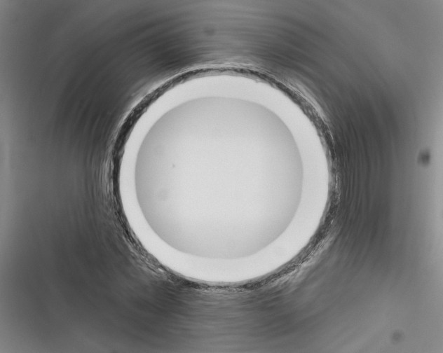 X0000116380781201001131807