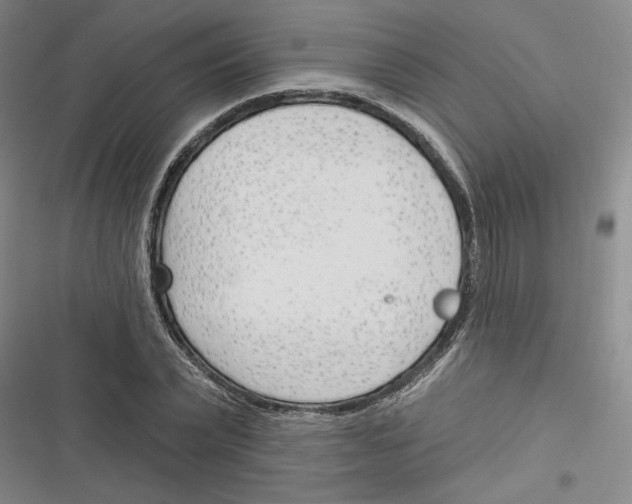 X0000116380783201001131807