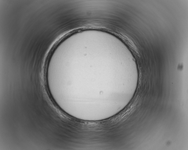X0000116380784201001131807