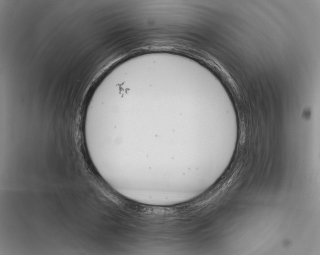 X0000116380786201001131807
