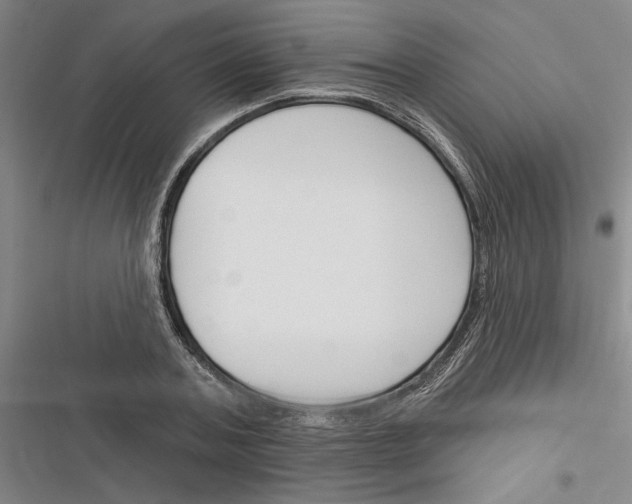 X0000116380787201001131807