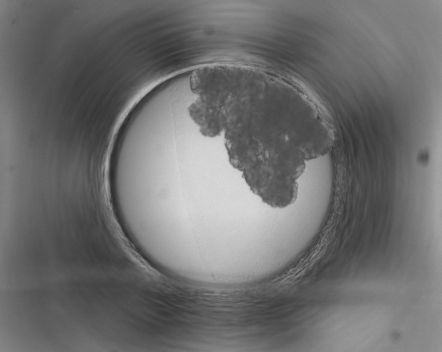 X0000116380788201001131807