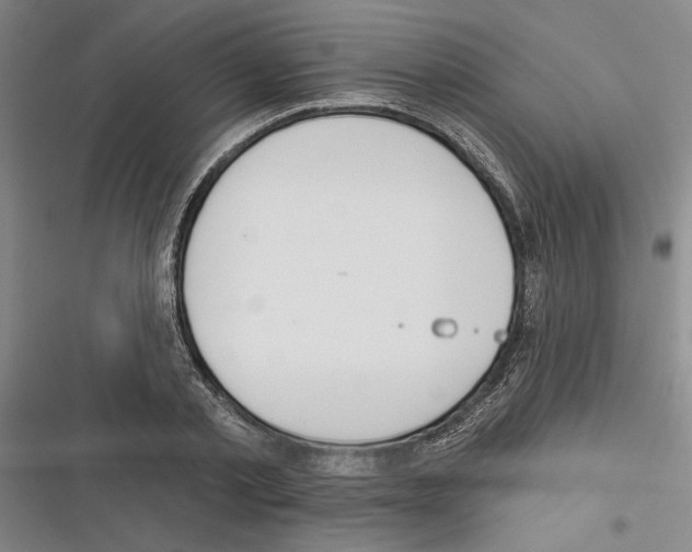 X0000116380789201001131807
