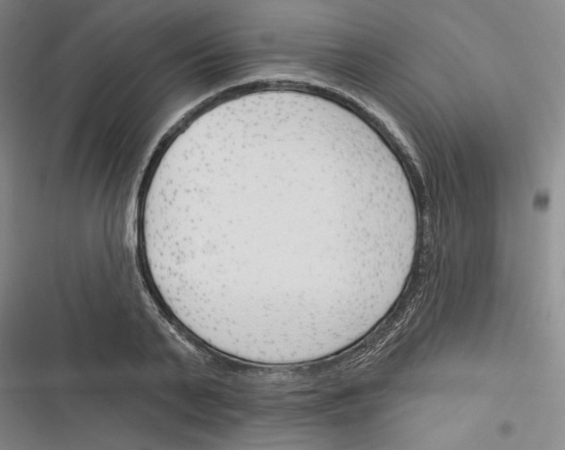 X0000116380791201001131807