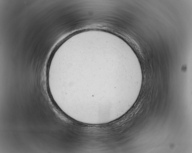 X0000116380792201001131807