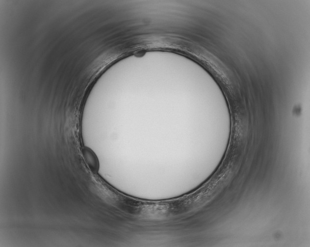 X0000116380793201001131807