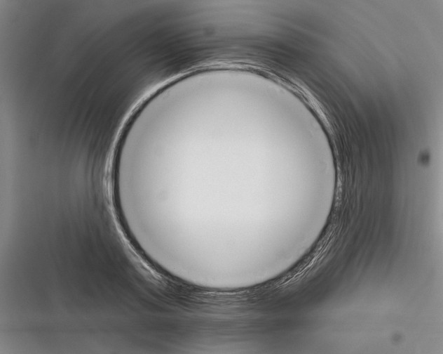 X0000116380795201001131807