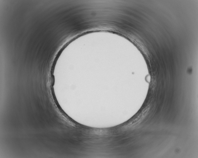 X0000116380797201001131807