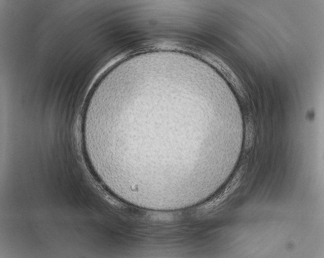 X0000116380798201001131807