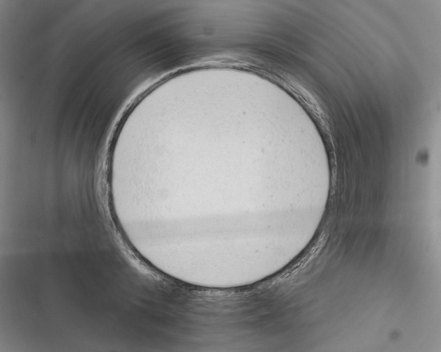 X0000116380800201001131807