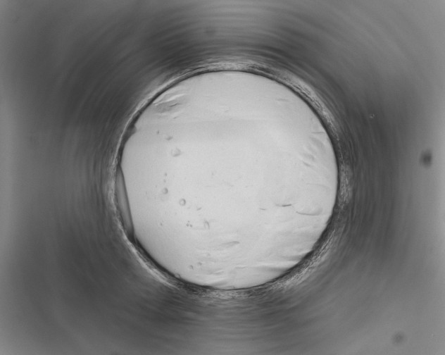 X0000116380802201001131807
