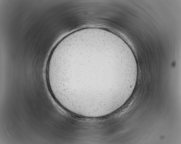 X0000116380803201001131807