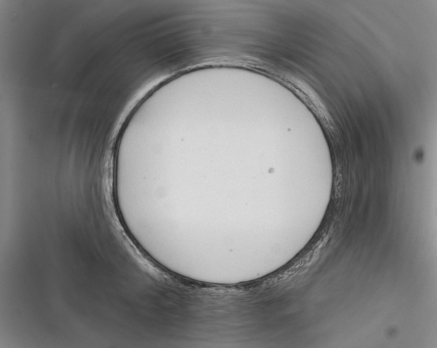 X0000116380804201001131807