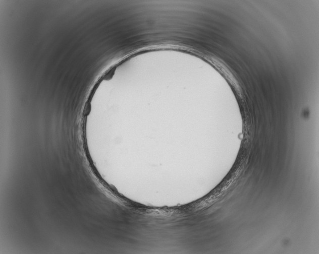 X0000116380805201001131807