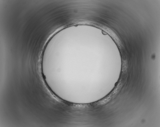 X0000116380806201001131807