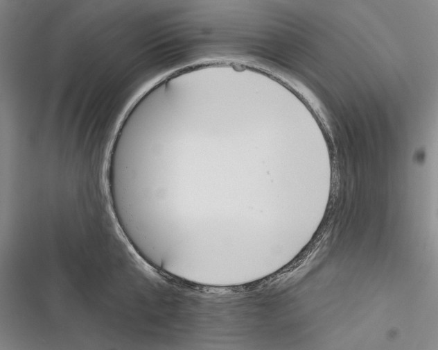 X0000116380807201001131807