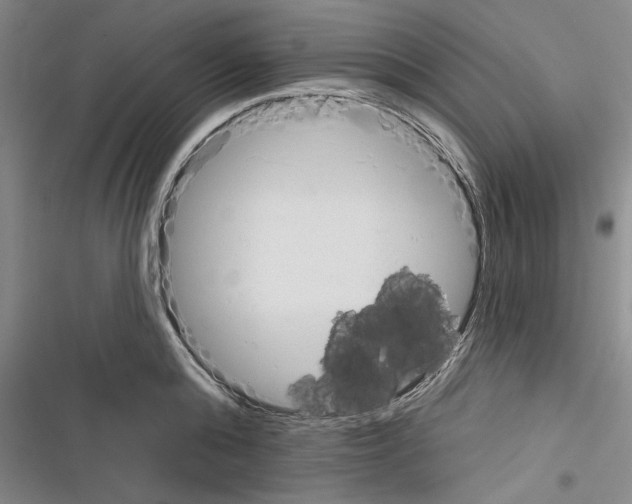 X0000116380808201001131807