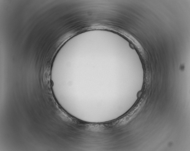 X0000116380809201001131807