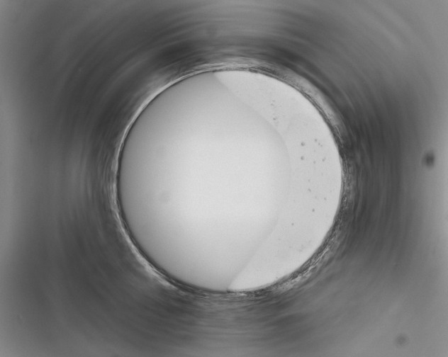 X0000116380810201001131807