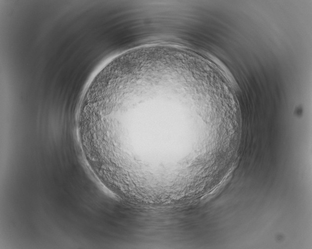 X0000116380812201001131807