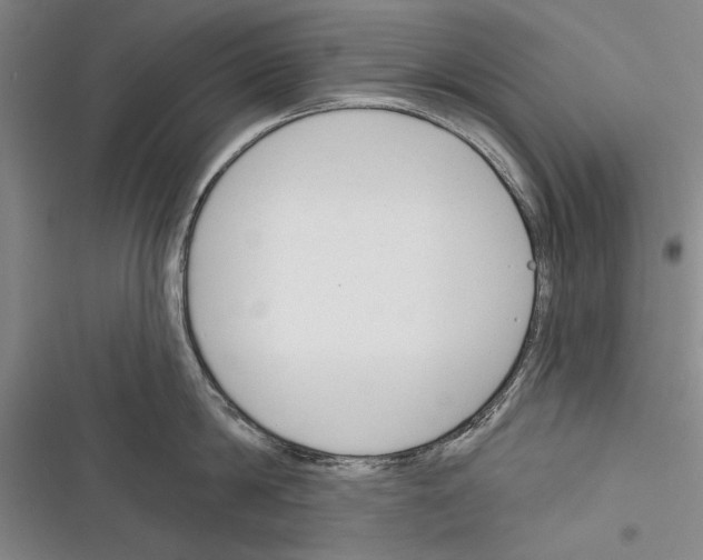 X0000116380814201001131807