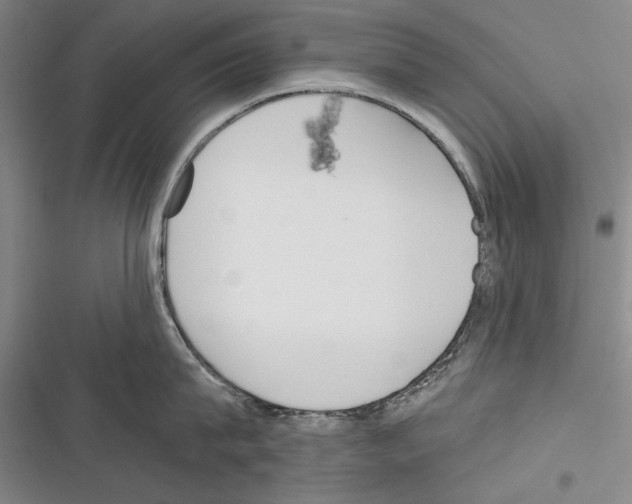 X0000116380815201001131807