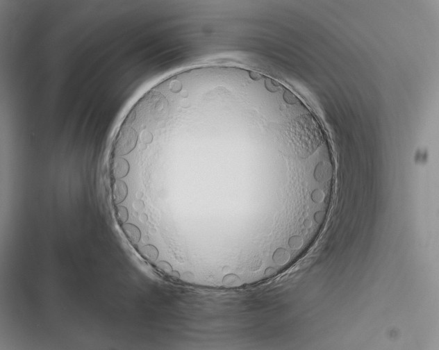 X0000116380816201001131807