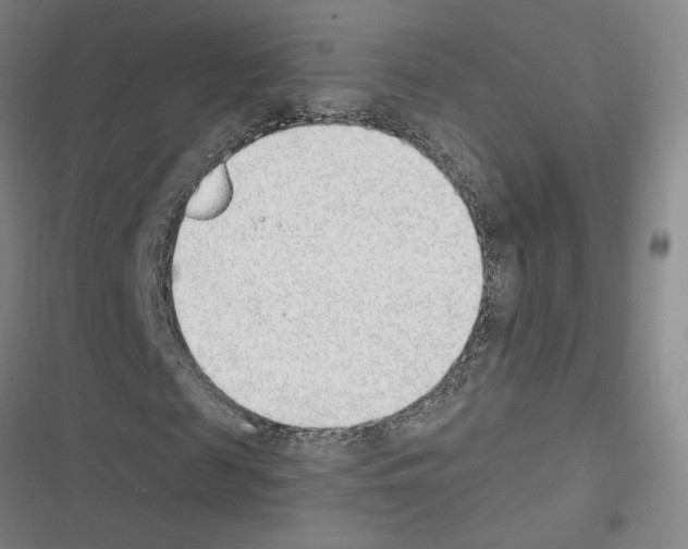 X0000116380817201001131806