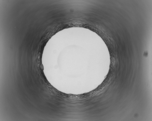 X0000116380818201001131806