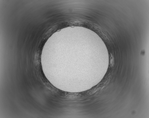 X0000116380819201001131806