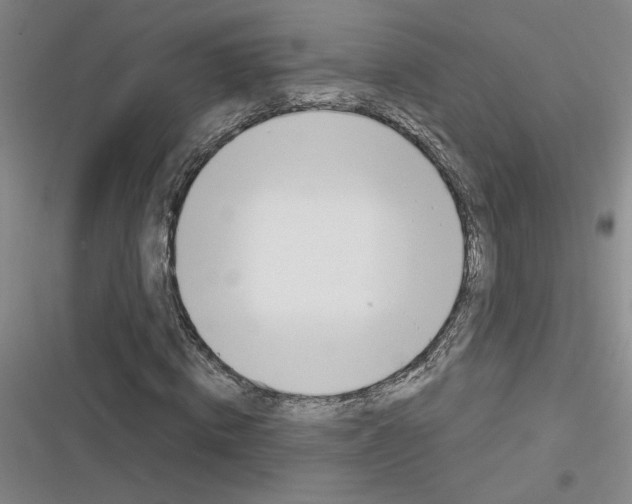 X0000116380820201001131806