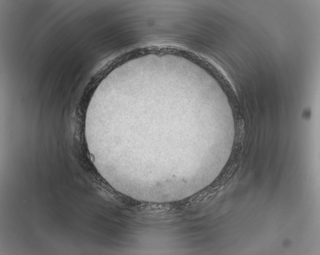 X0000116380823201001131806