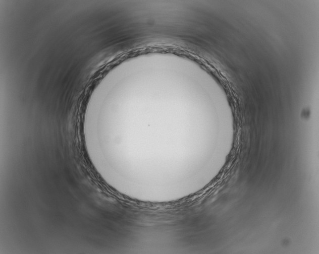 X0000116380824201001131806