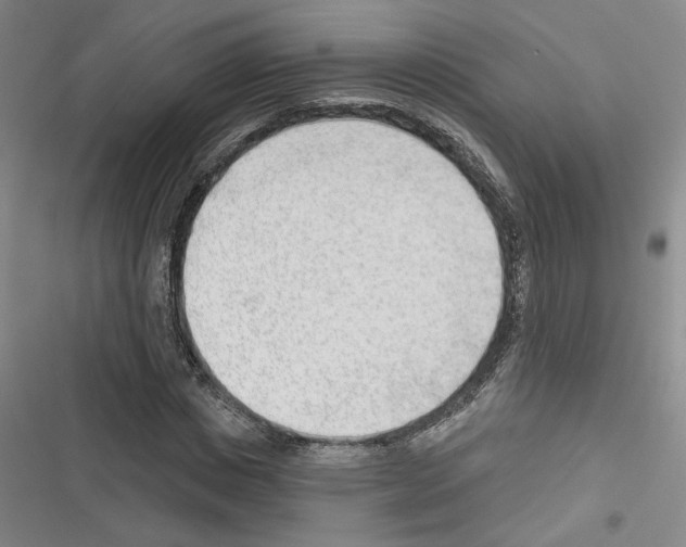 X0000116380825201001131806