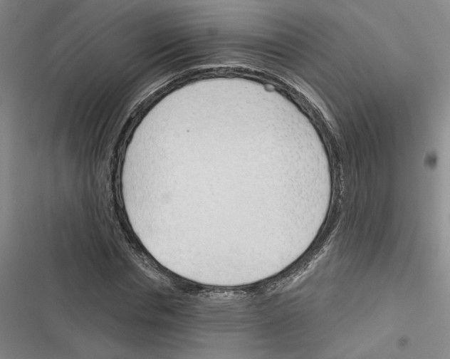 X0000116380826201001131806