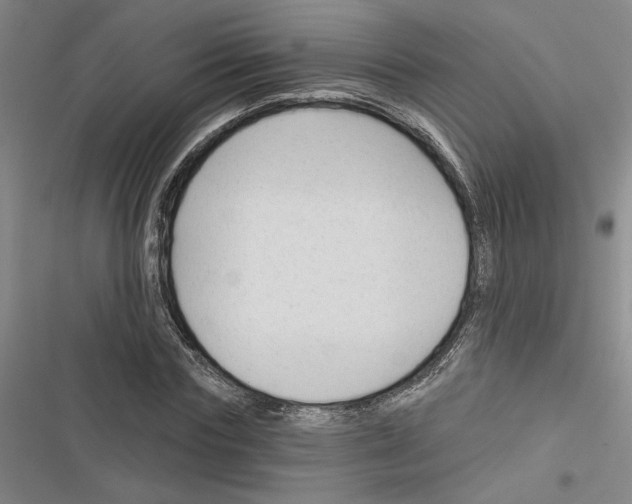 X0000116380827201001131806