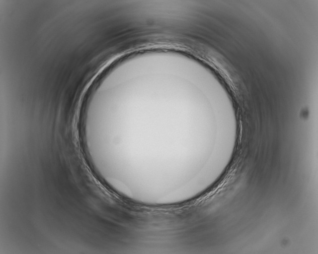 X0000116380828201001131806