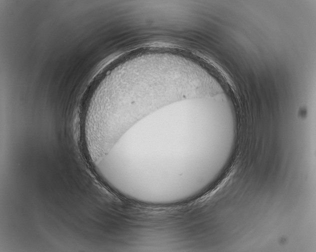X0000116380829201001131806