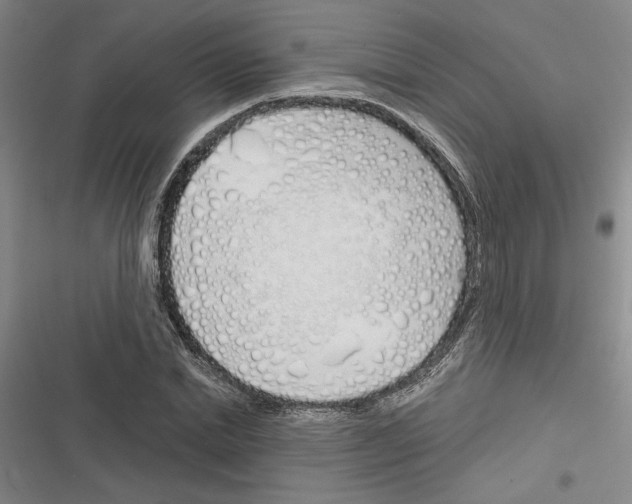 X0000116380830201001131806