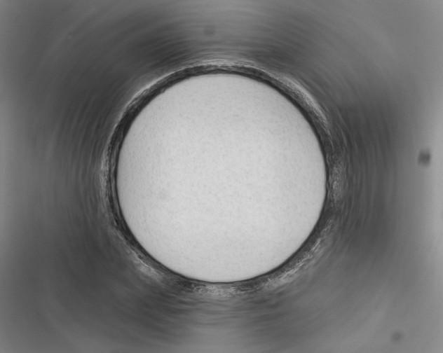 X0000116380831201001131806