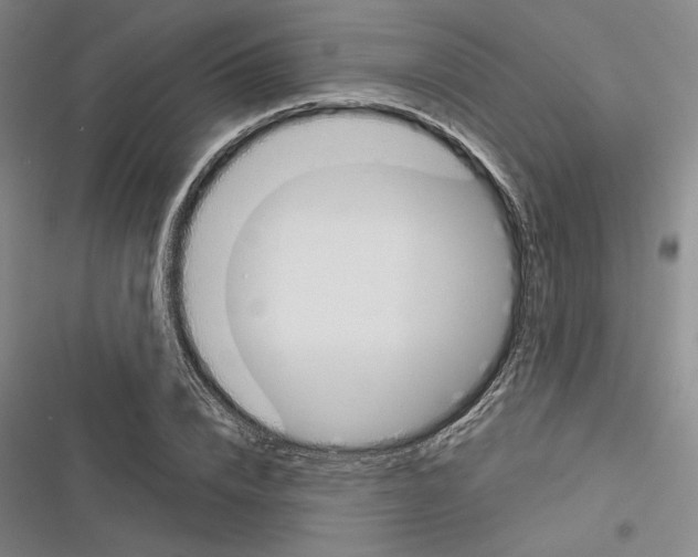 X0000116380832201001131806