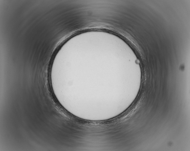 X0000116380834201001131807