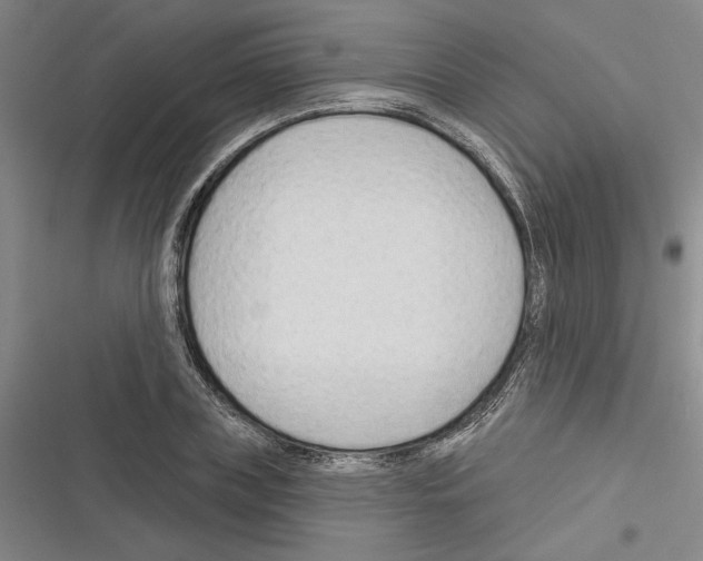 X0000116380835201001131807
