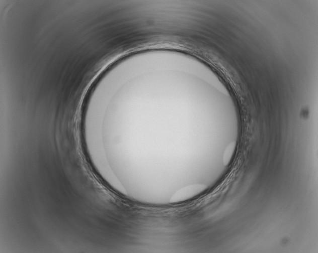 X0000116380836201001131807