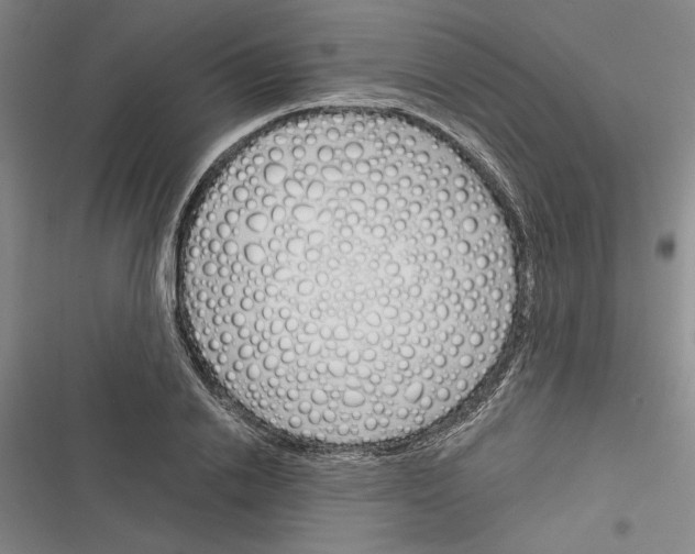 X0000116380838201001131807