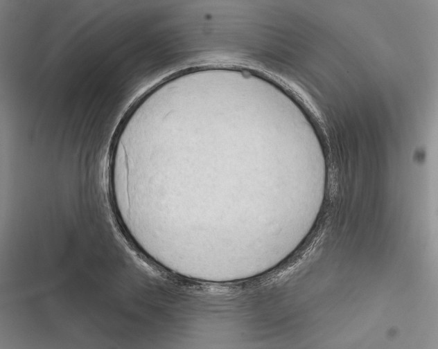 X0000116380839201001131807